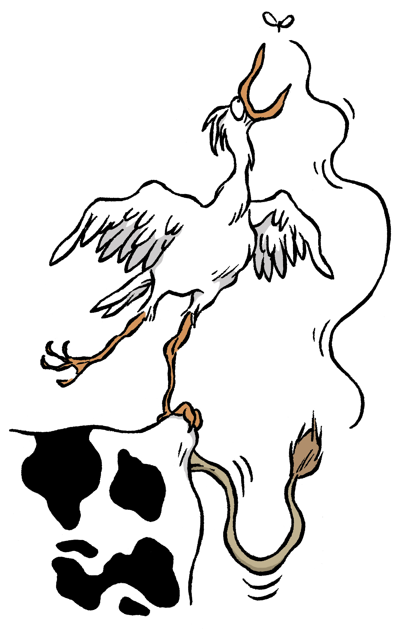 Le Heron Garde Boeuf Le Copain Des Vaches Espace Des Sciences