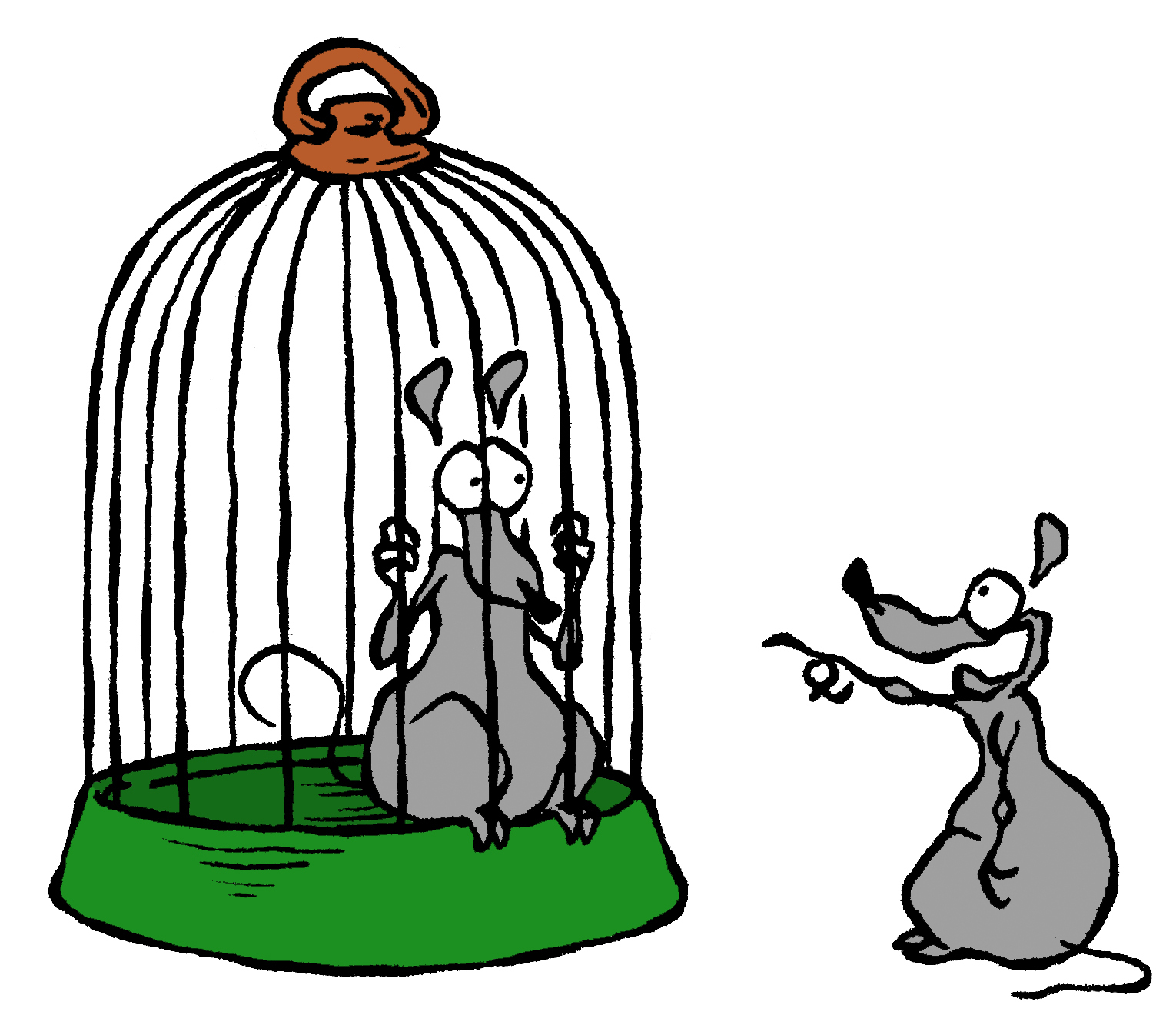 Capture Un Oiseau Espace Des Sciences