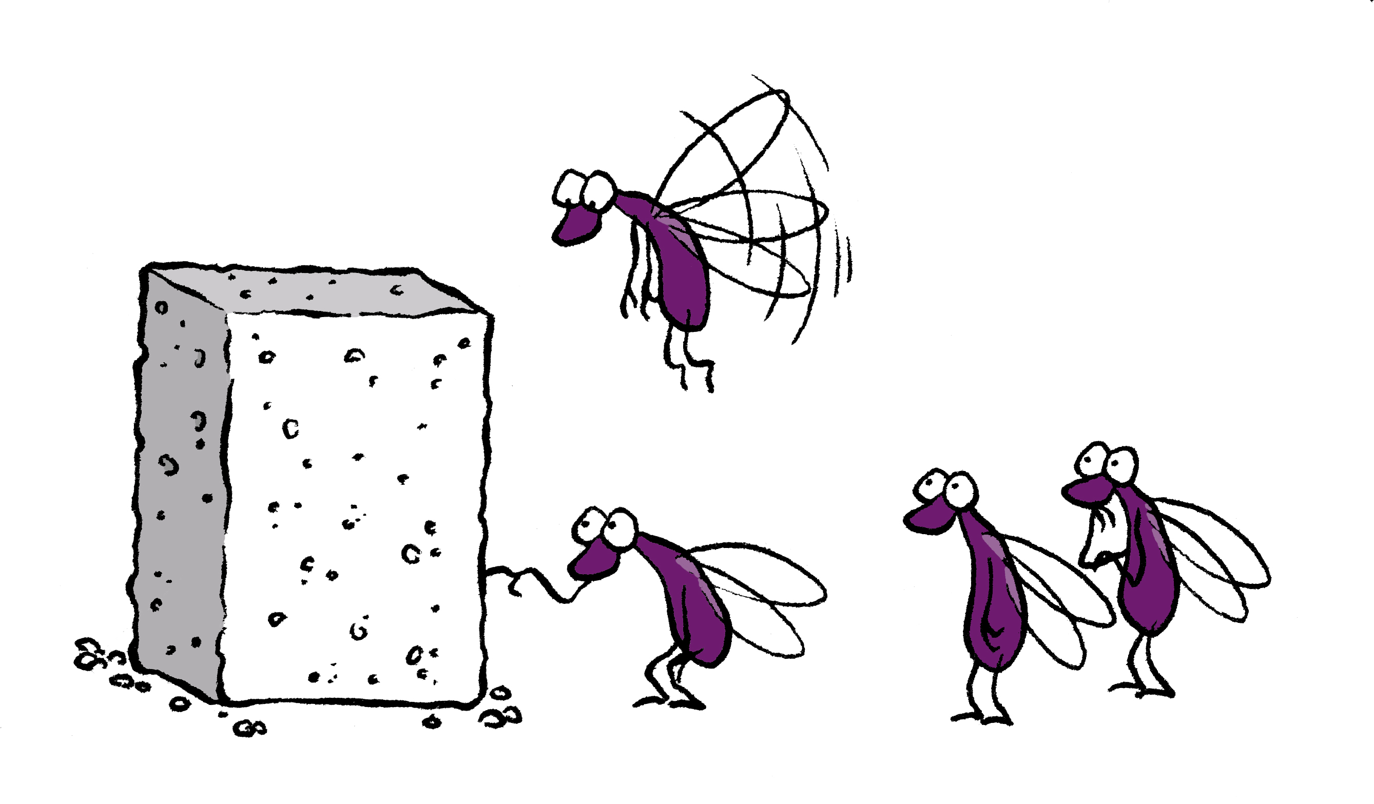 D Ou Vient Le Sucre Espace Des Sciences