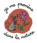 Pôle emploi offres