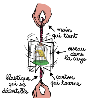 Capture Un Oiseau Espace Des Sciences